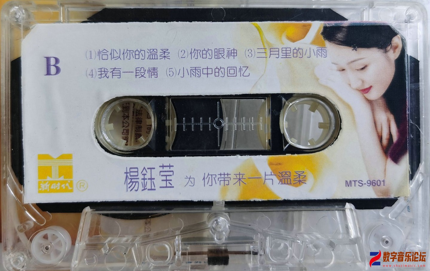 为你带来一片温柔B面.jpg