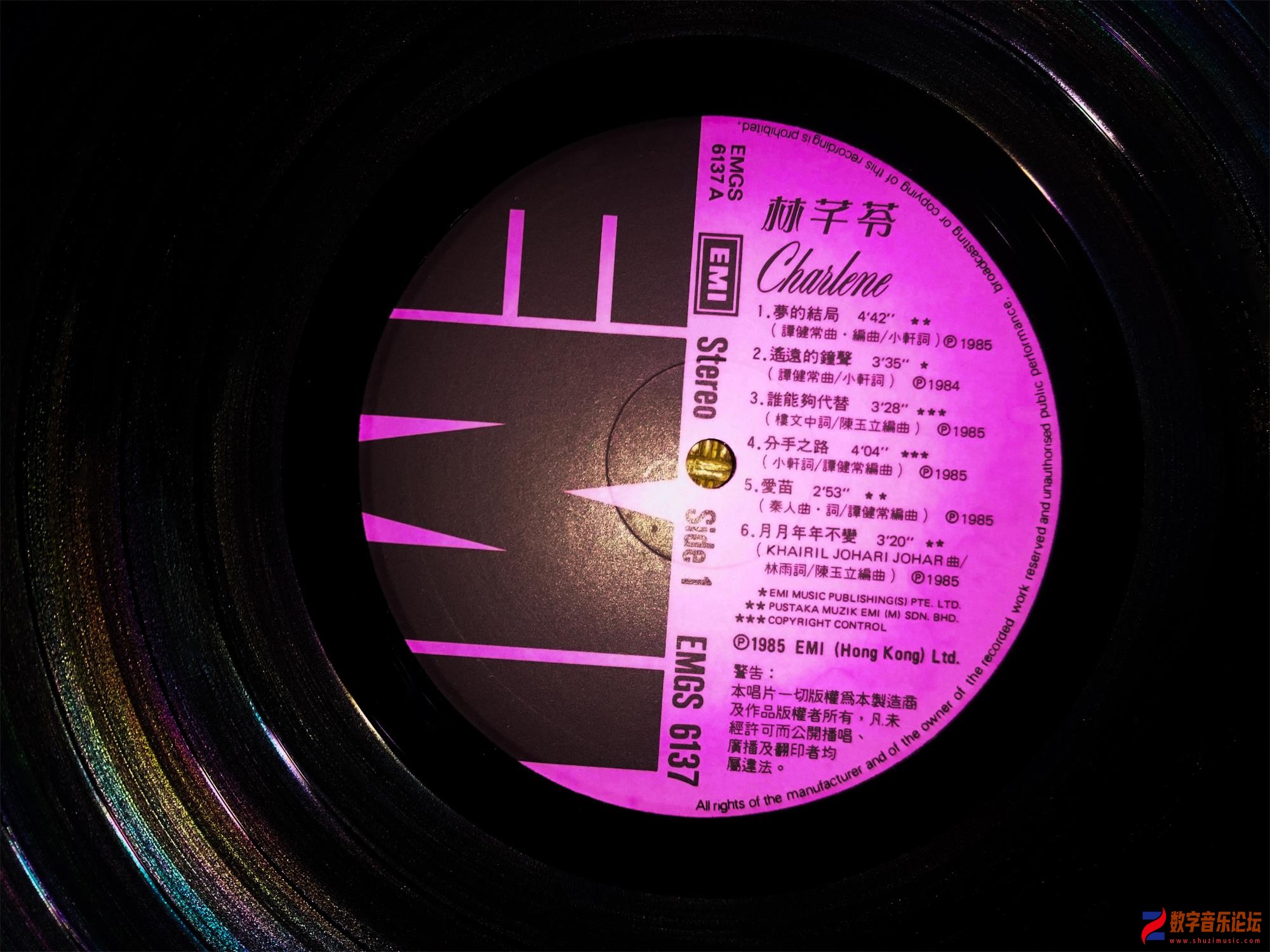 04.jpg