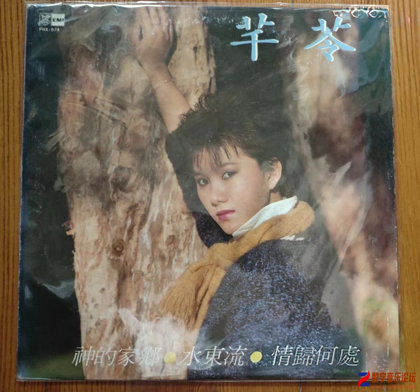 COVER.jpg