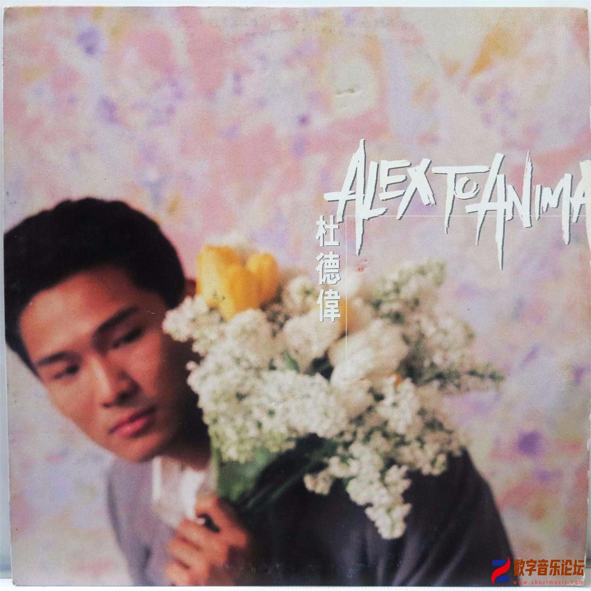 COVER.jpg