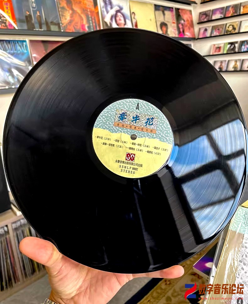 CD-.jpg
