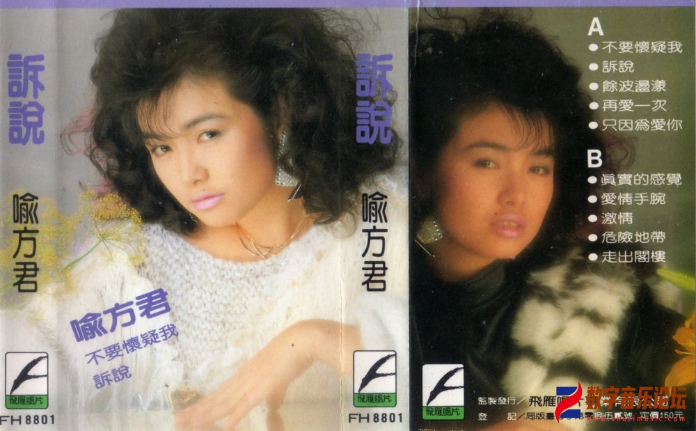 飞雁封面.jpg
