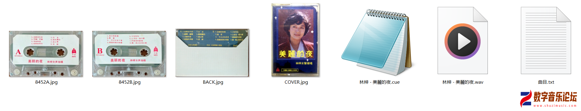 林梓～1984～美丽的夜.png