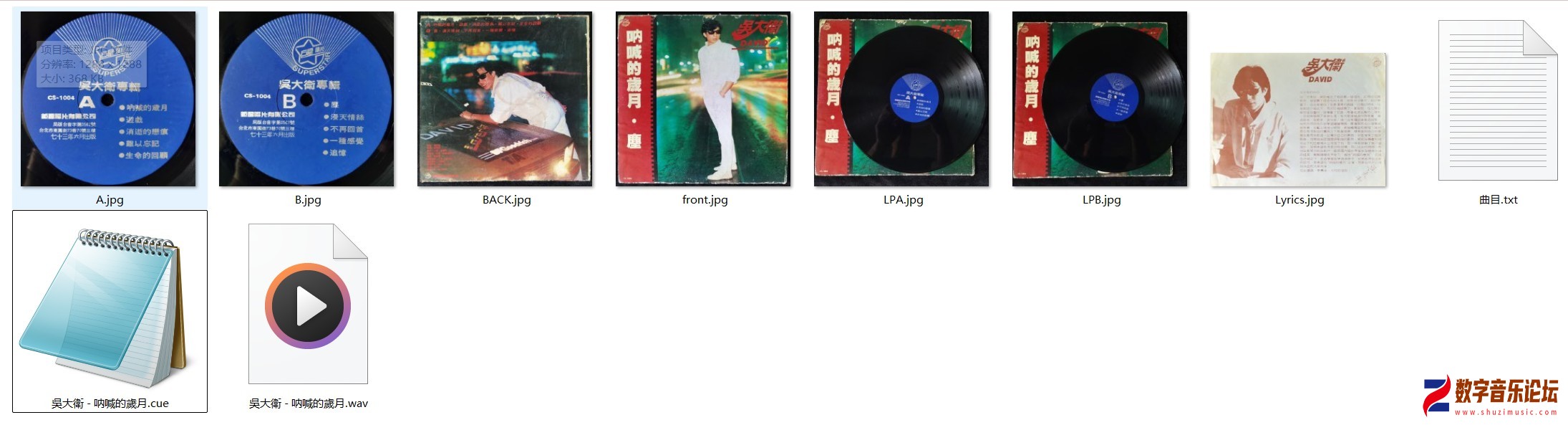 呐喊的歲月.jpg