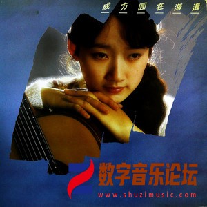 在海边（黑胶版）.jpg