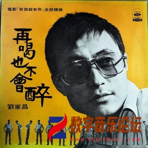 再喝也不会醉（黑胶版）.jpg
