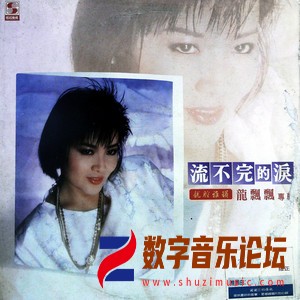 流不完的泪（黑胶版）.jpg
