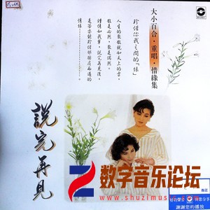 说完再见（黑胶版）.jpg