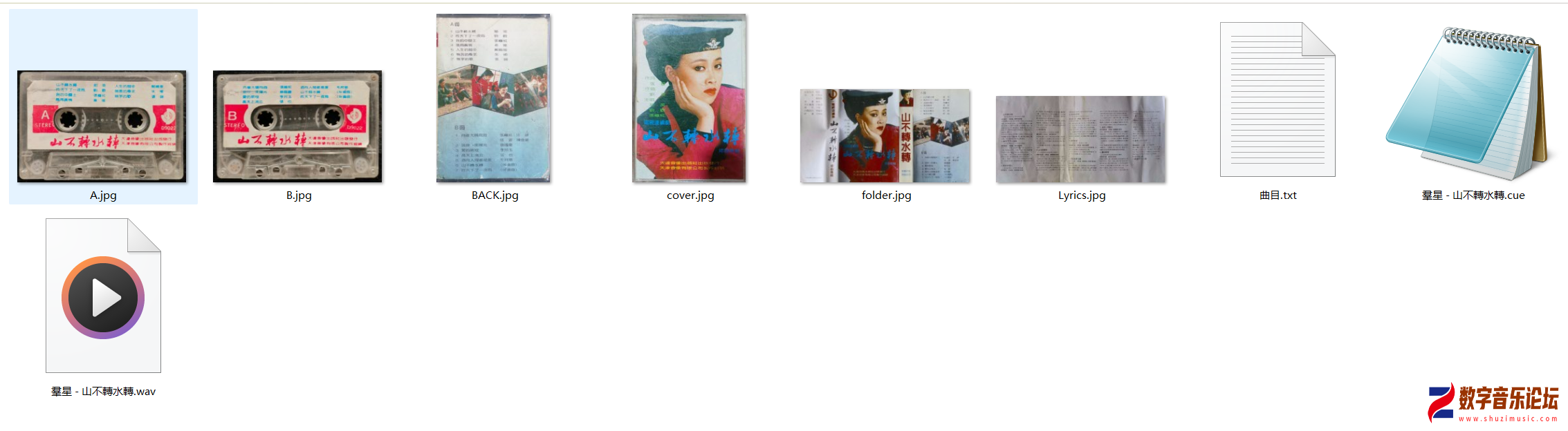 D9022.png