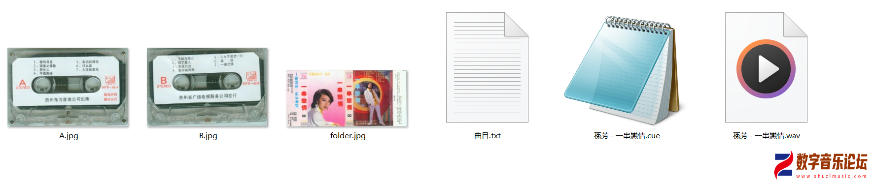 DFB-9013.png