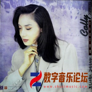 你永远不会懂（黑胶版）.jpg